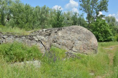 Ancient large stones in a the field