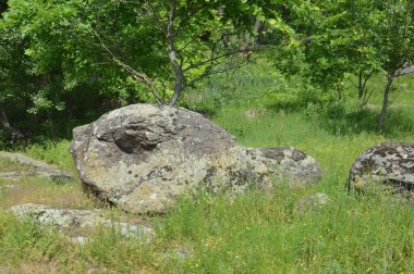 Ancient large stones in a the field