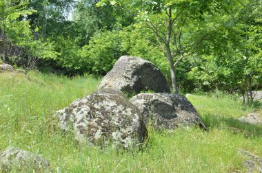 Ancient large stones in a the field