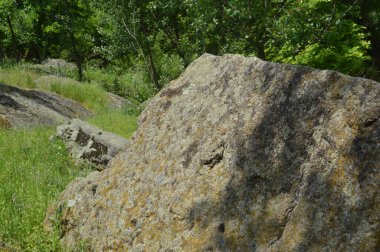 Ancient large stones in a the field