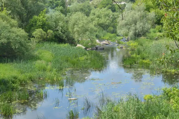 Mountain River Flows Stone Banks — Zdjęcie stockowe