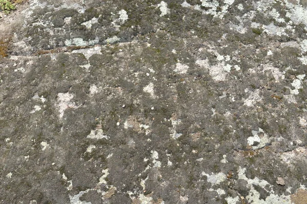 Ancient Large Stones Field — Stock Fotó