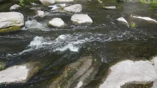 Mountain River Flows Stones Valley — Vídeos de Stock
