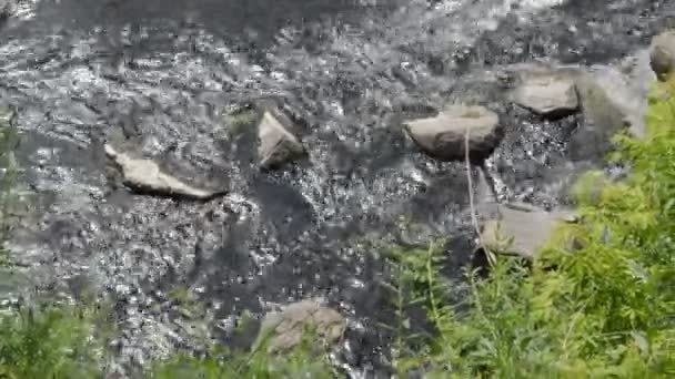 Mountain River Flows Stones Valley — Video