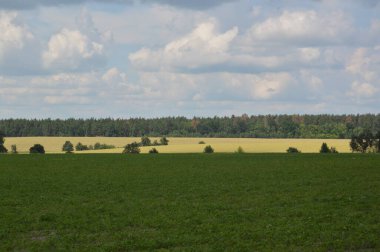Yaz tarlaları meyvelerle ekildi.