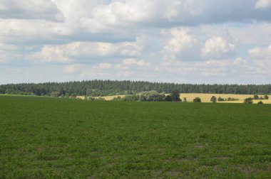 Yaz tarlaları meyvelerle ekildi.