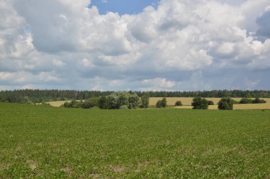 Yaz tarlaları meyvelerle ekildi.