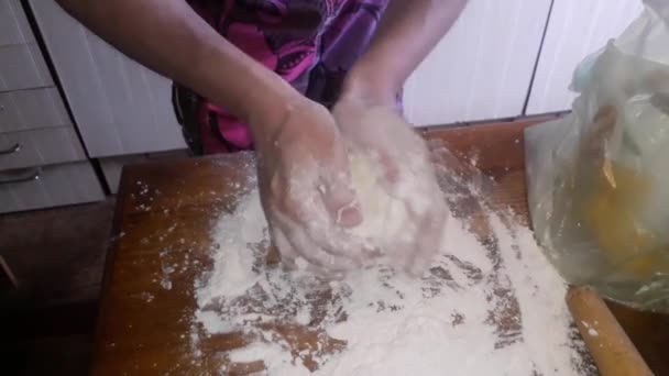 Deeg Gehakt Vlees Maken Voor Het Maken Van Knoedels — Stockvideo