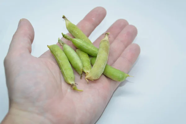 Guisantes Verdes Jóvenes Maduros Sobre Fondo Blanco —  Fotos de Stock