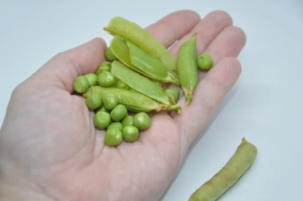 Jonge Rijpe Groene Erwten Een Witte Achtergrond — Stockfoto