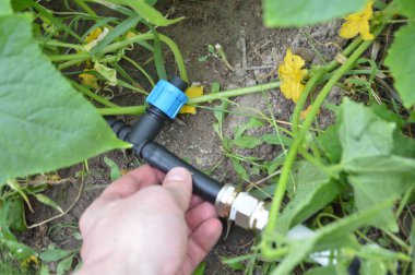 Bir köydeki bahçe ve sebze bahçesi için sulama sistemi.