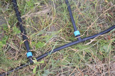 Bir köydeki bahçe ve sebze bahçesi için sulama sistemi.