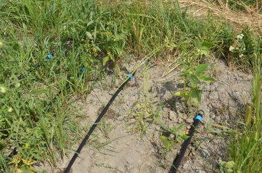 Bir köydeki bahçe ve sebze bahçesi için sulama sistemi.