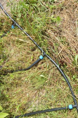 Bir köydeki bahçe ve sebze bahçesi için sulama sistemi.