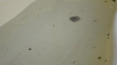 Evin ayrıntıları ve yağmur sonrası yapılar