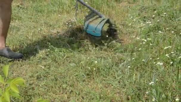 Aparador Grama Portátil Profissional Para Cortar Grama Campo — Vídeo de Stock