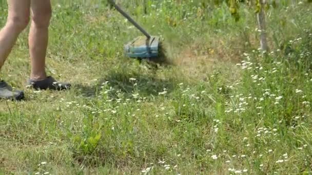 Aparador Grama Portátil Profissional Para Cortar Grama Campo — Vídeo de Stock