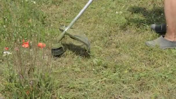 Aparador Grama Portátil Profissional Para Cortar Grama Campo — Vídeo de Stock