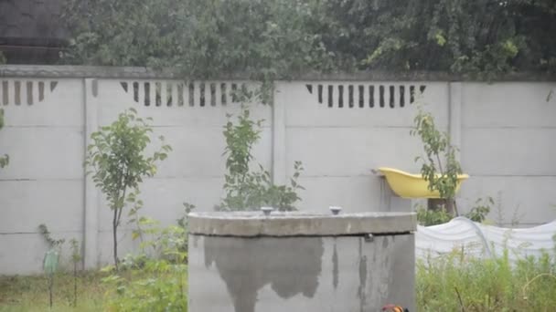 Детали Дома Сооружения После Дождя Капельками — стоковое видео