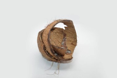 Arka planda avuç içi beyaz hindistan cevizi