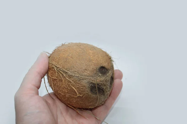 Kokos Palmami Białym Tle — Zdjęcie stockowe