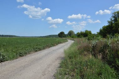 Bir köy manzarası ve yol manzarası.