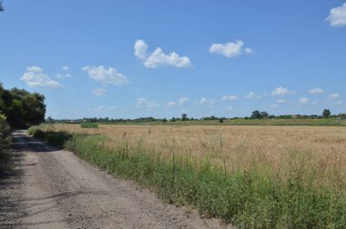 Bir köy manzarası ve yol manzarası.