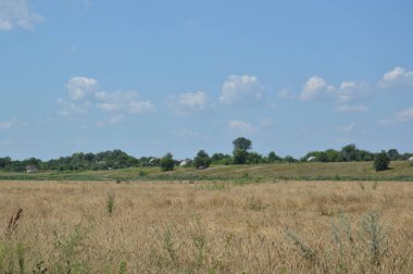 Bir köy manzarası ve yol manzarası.