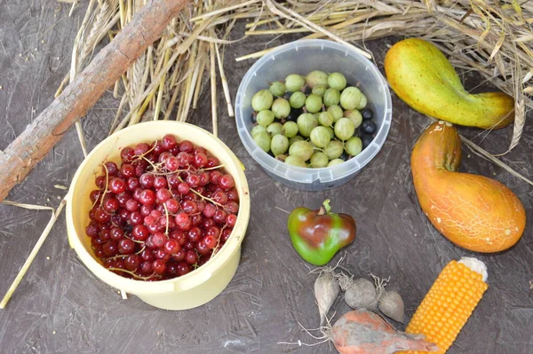 Stillleben Von Geernteten Beeren Und Gemüse Garten — Stockfoto