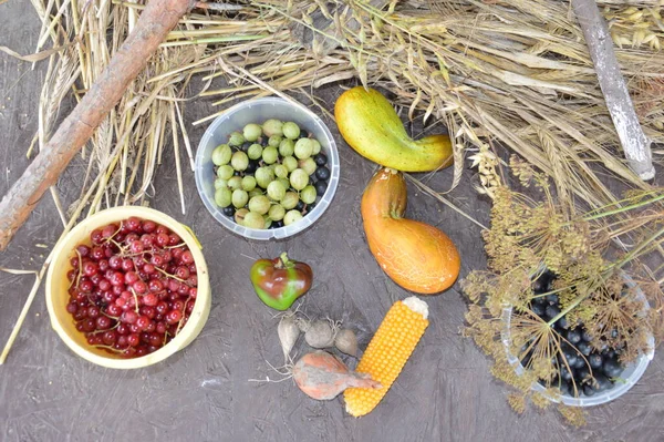 Stillleben Von Geernteten Beeren Und Gemüse Garten — Stockfoto