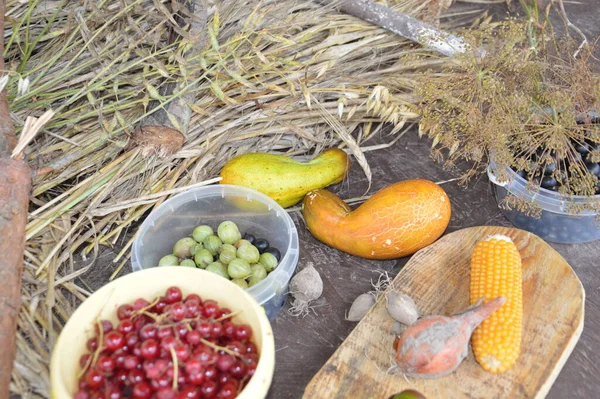 Stillleben Von Geernteten Beeren Und Gemüse Garten — Stockfoto