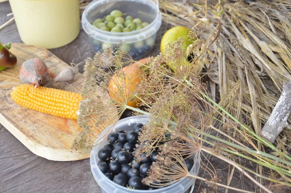 Stillleben Von Geernteten Beeren Und Gemüse Garten — Stockfoto