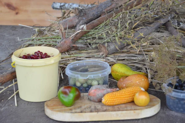 Stillleben Von Geernteten Beeren Und Gemüse Garten — Stockfoto