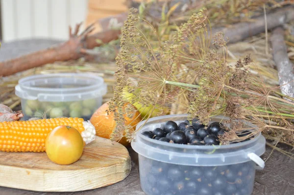 Stillleben Von Geernteten Beeren Und Gemüse Garten — Stockfoto