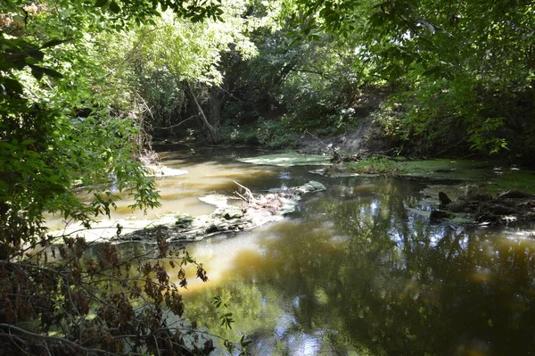 Pequeño Río Está Fluyendo Cubierto Cañas Bloqueado Por Una Presa —  Fotos de Stock