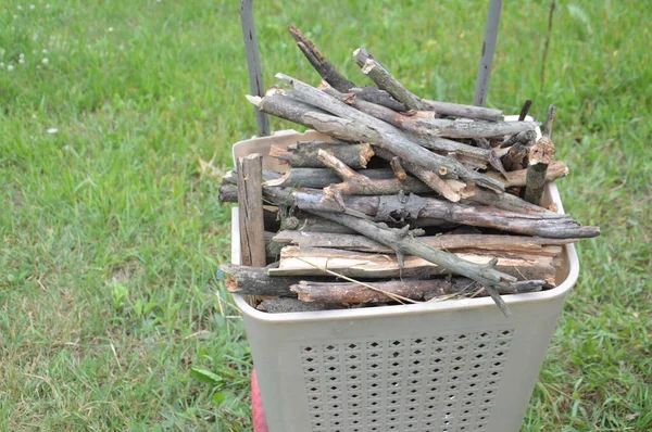 Brennholz Sammeln Den Ofen Aus Dem Wald Anzuzünden — Stockfoto