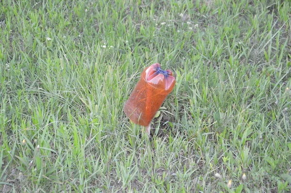 Mekanisme Perlindungan Dari Botol Plastik Terhadap Tahi Lalat Untuk Taman — Stok Foto