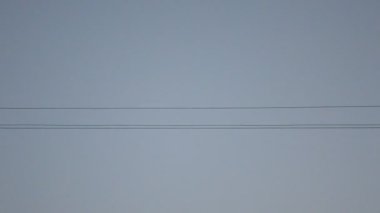 Elektrik direkleri ve elektrik şebekesinin kabloları