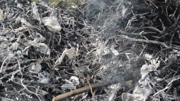 Ein Lagerfeuer Mit Trockenen Pflanzen Brennt Auf Einem Grundstück Mit — Stockvideo