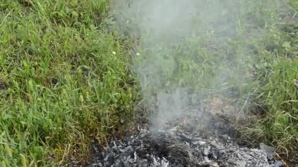 Ein Lagerfeuer Mit Trockenen Pflanzen Brennt Auf Einem Grundstück Mit — Stockvideo