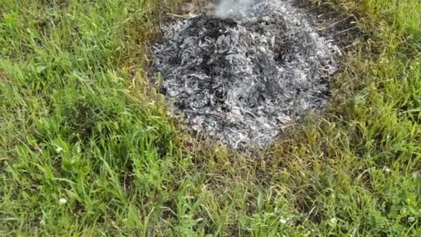 Feu Joie Avec Des Plantes Sèches Brûle Sur Une Parcelle — Video