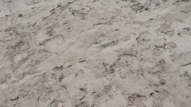 Woman Walks Deserted Sand Field — Stock Video