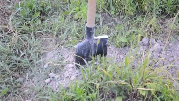 Pelle Coincée Dans Sol Dans Jardin — Video