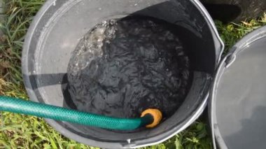 Su bir bahçe hortumundan kovalara dökülür.