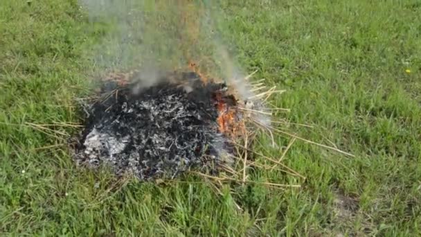 Una Hoguera Con Plantas Secas Está Ardiendo Una Parcela Tierra — Vídeo de stock