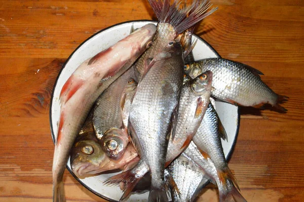 Fresh Caught River Fish Bowl — Stock Photo, Image