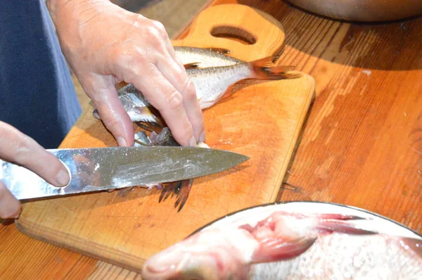 Frischen Flussfisch Mit Dem Messer Schneiden — Stockfoto