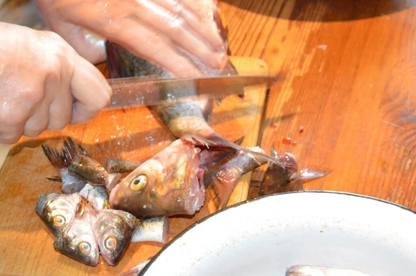 Cut Fresh River Fish Knife — Stock Fotó