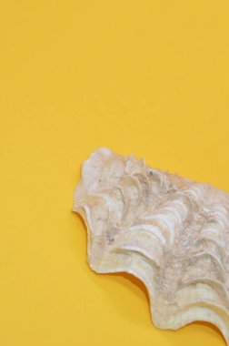 Katı renkli arkaplandaki izole nesneler