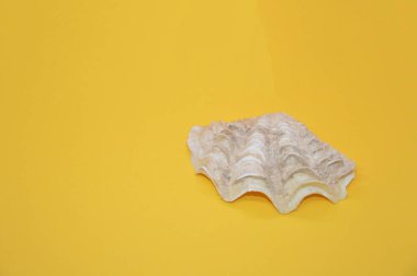 Katı renkli arkaplandaki izole nesneler